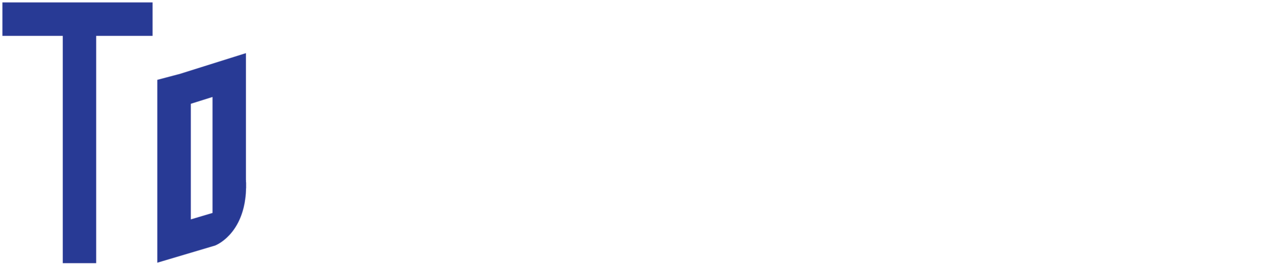 TAKRENDVERING V001 invert